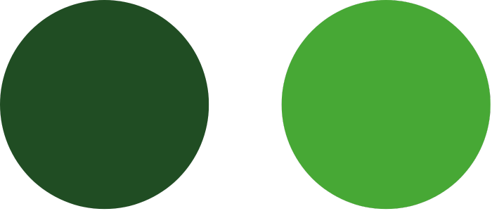 Clients Testimonials